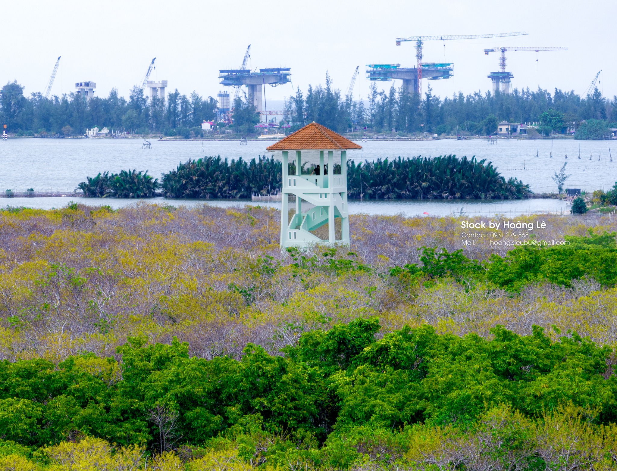 Rú Chá Mangrove Forest Hue